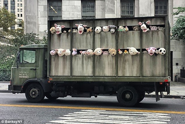 animal-truck