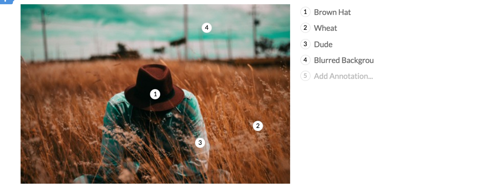 beloved features annotation