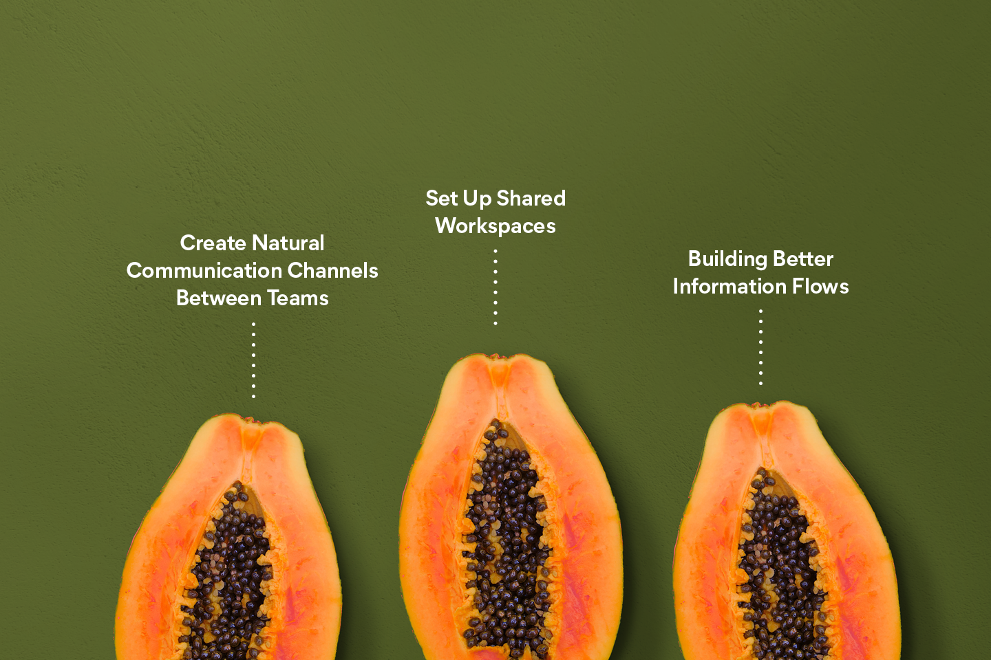 Why-You-Need-to-Rethink-Team-Silos