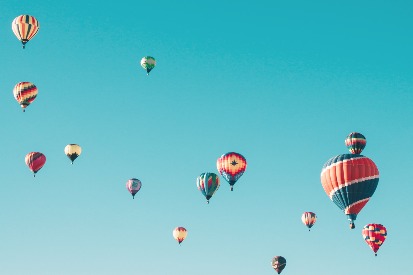 Blog-10-Key-Principles-Everyone