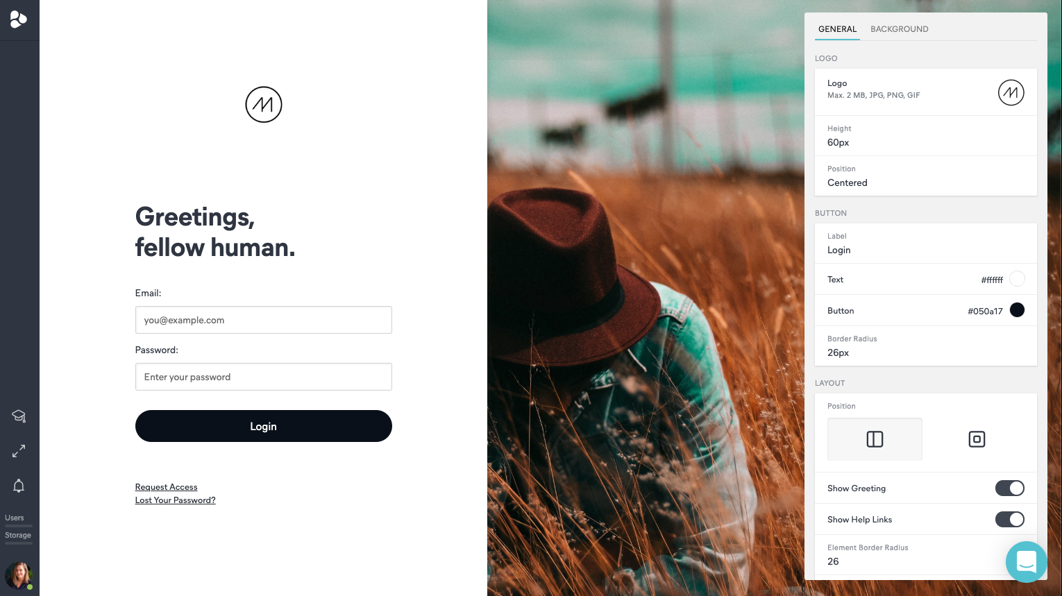 custom-log-in